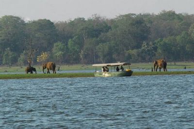 Kabini River lodge