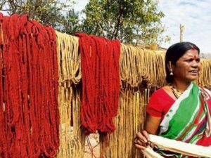 Kotpad tribal weaving villag