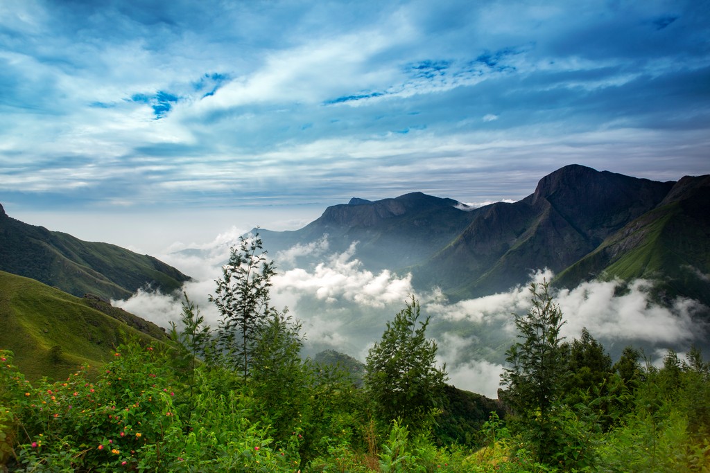 Beautiful landscape of top Station, Munnar